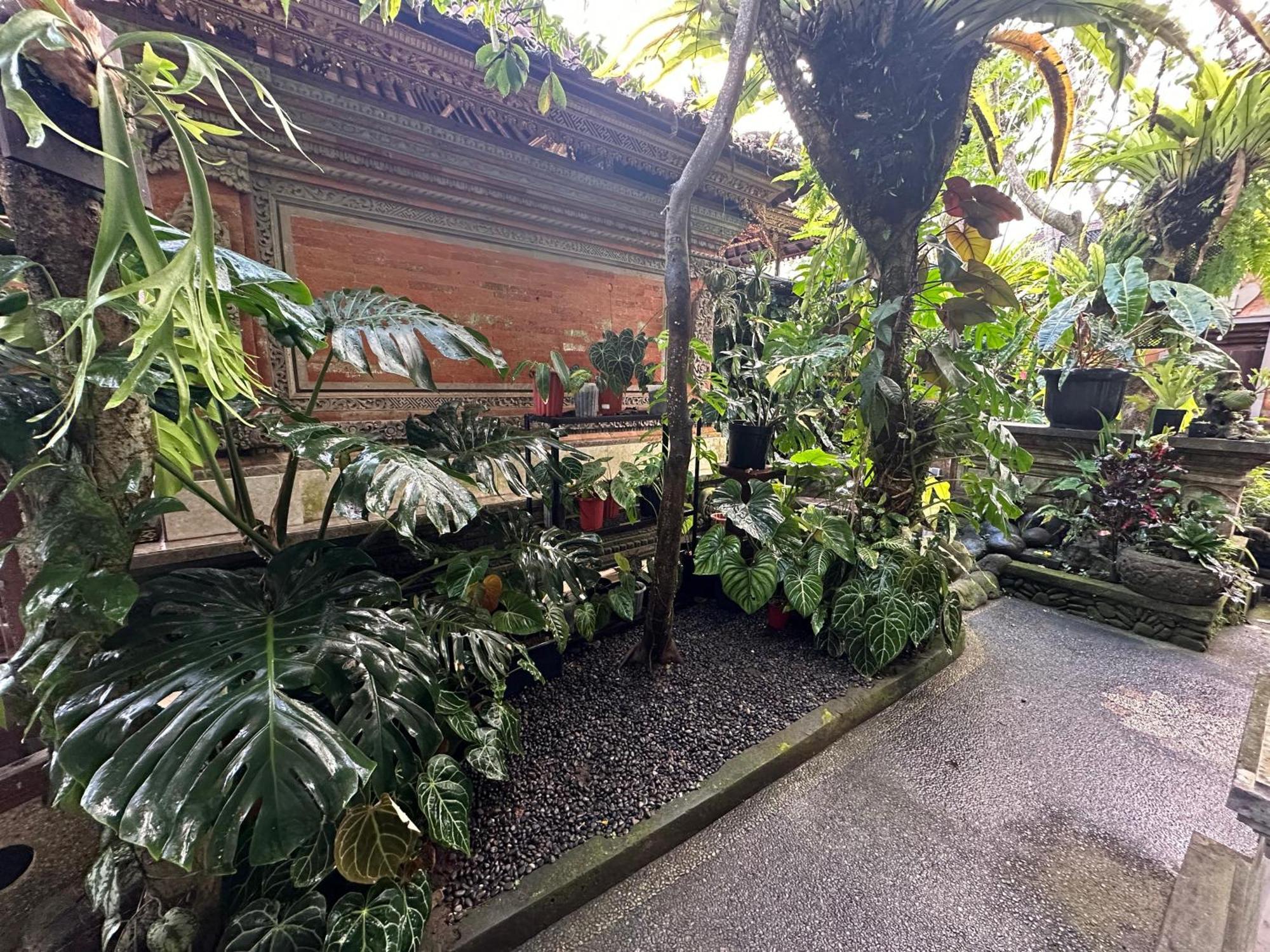 Naeera Guest House Ubud Eksteriør bilde
