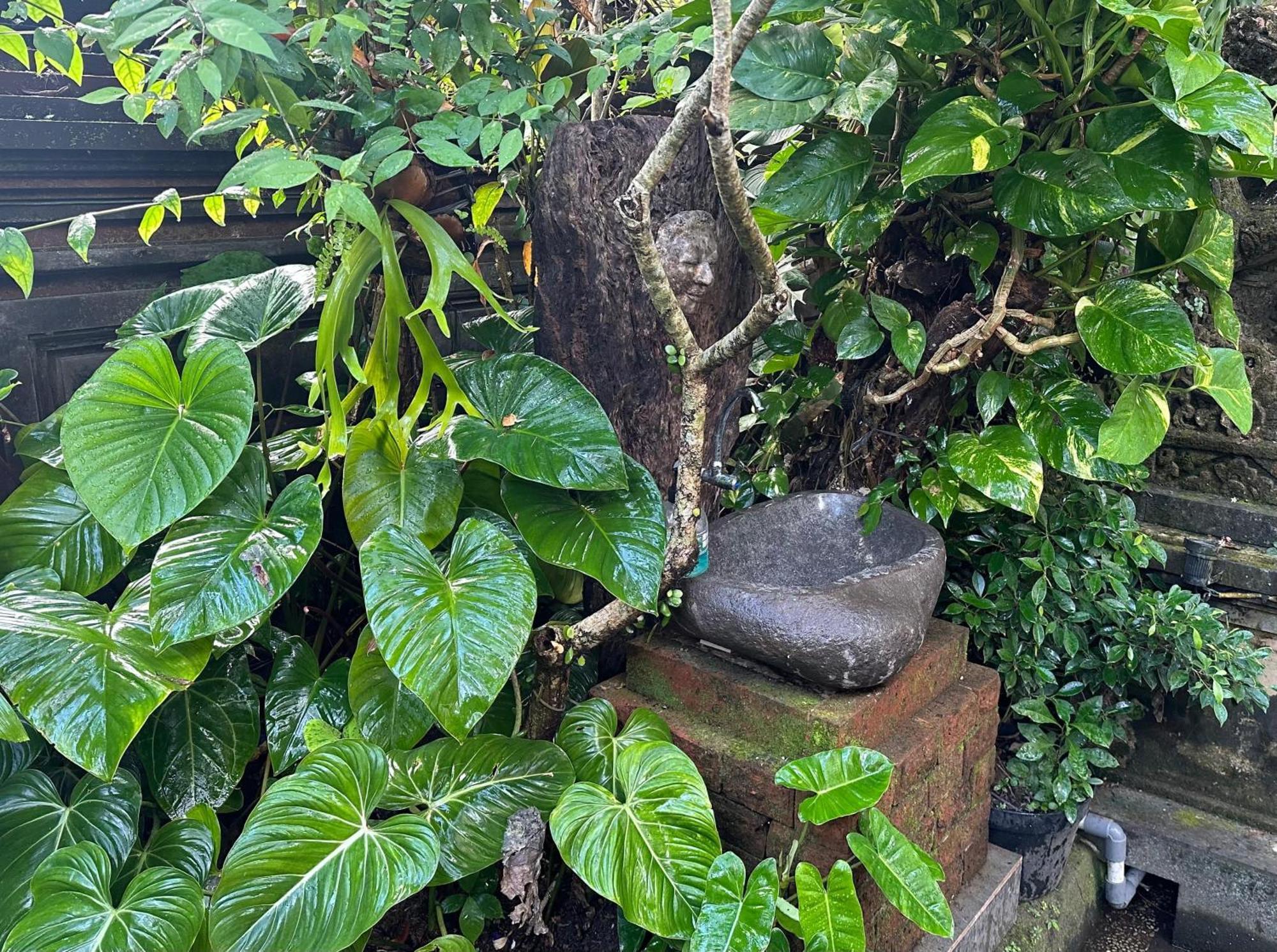Naeera Guest House Ubud Eksteriør bilde