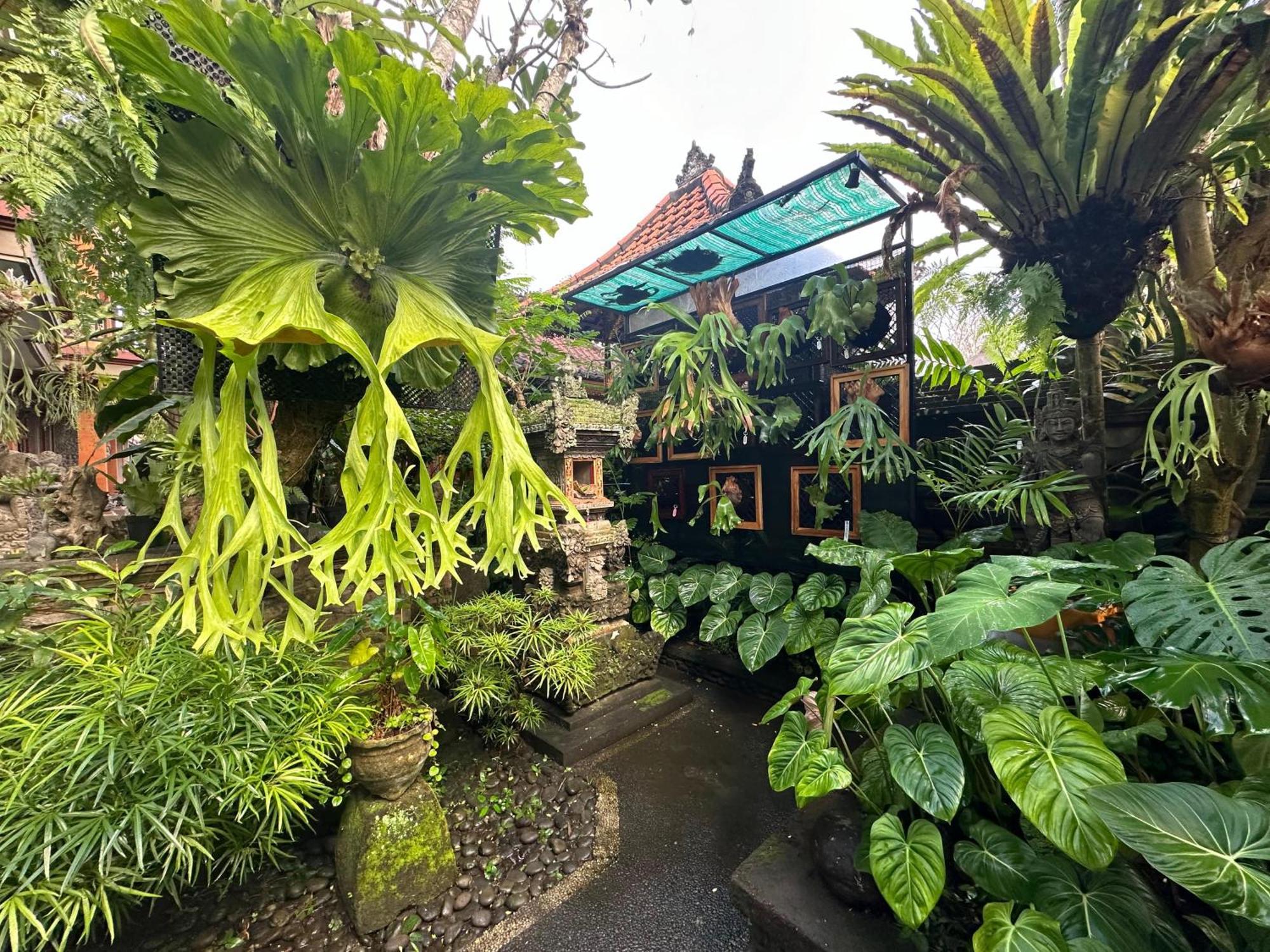 Naeera Guest House Ubud Eksteriør bilde